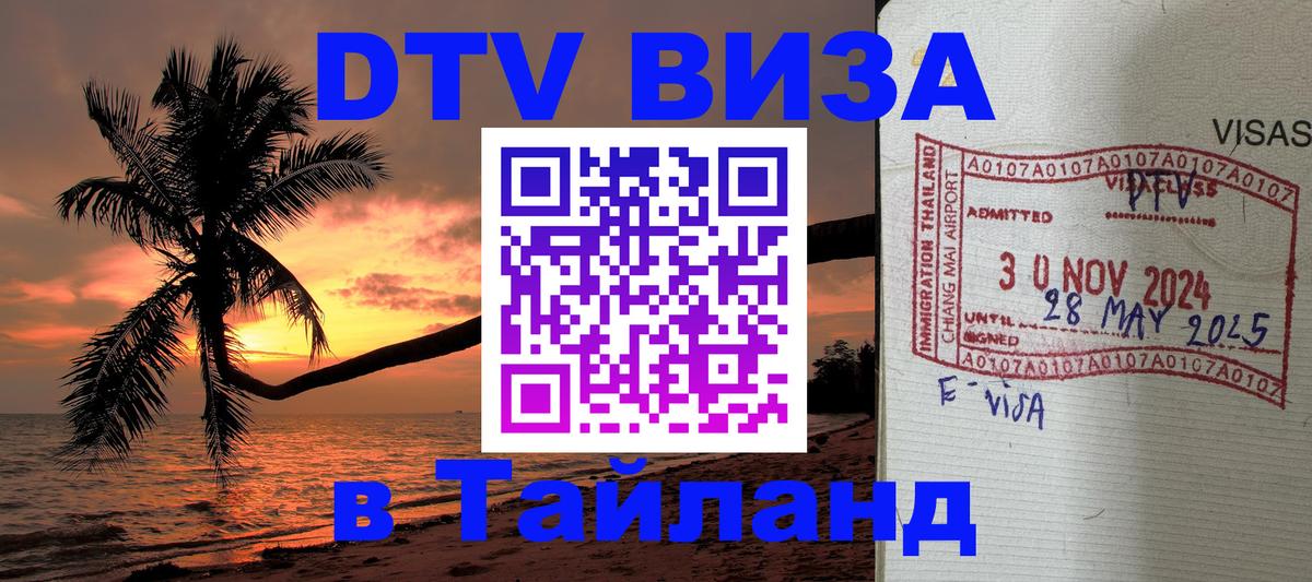 Оформление DTV визы под ключ: стоимость и тарифы, только загранпаспорт - Киев 